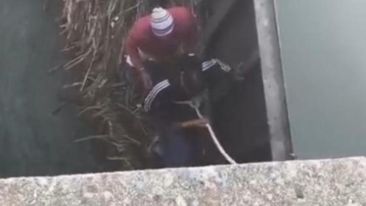 WhatsApp Image 2025-11-24 at 9.17.49 PM-8JBKJzDqEF.jpeg